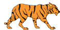 Tyger Hunt logo